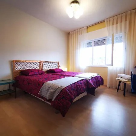 Apartmán Mad Hound Celorio *